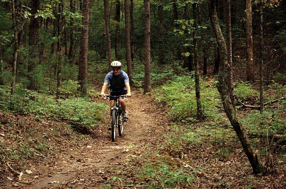 Unicoi State Park & Lodge Helen Buitenkant foto
